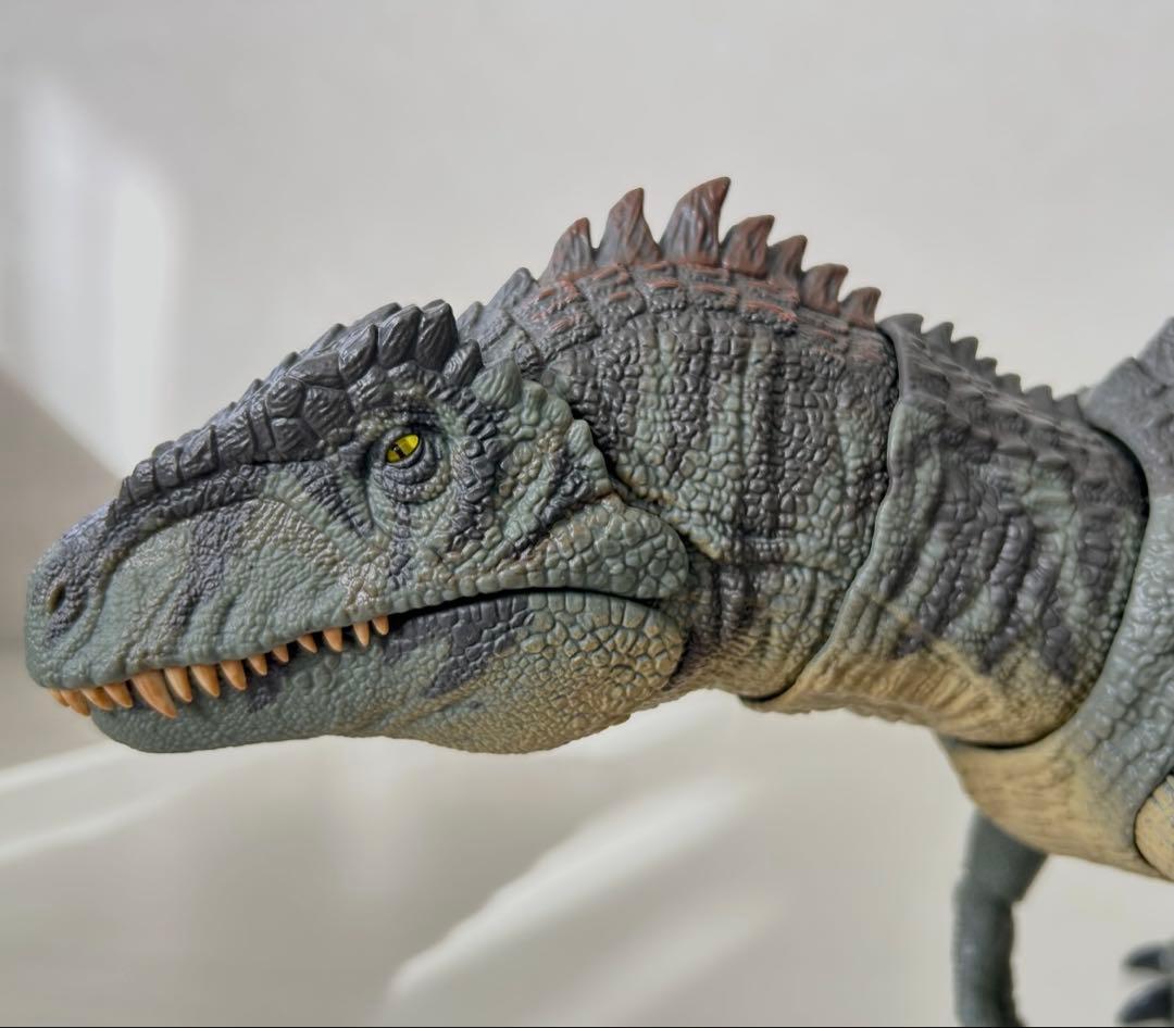 ハモンドコレクション ギガノトのみ