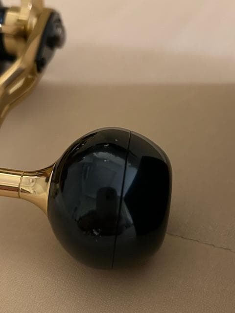 ダイワ 21ソルティガ IC 300