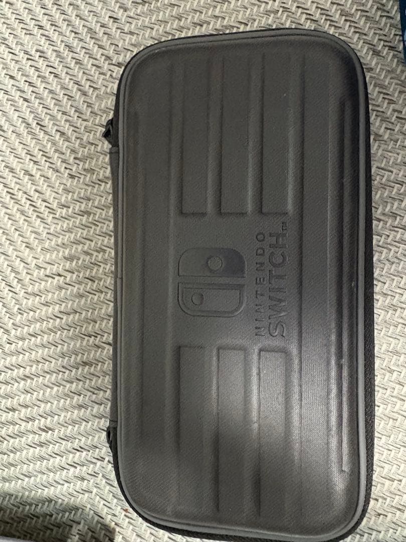 Nintendo Switch Lite グレー 専用ケース付き