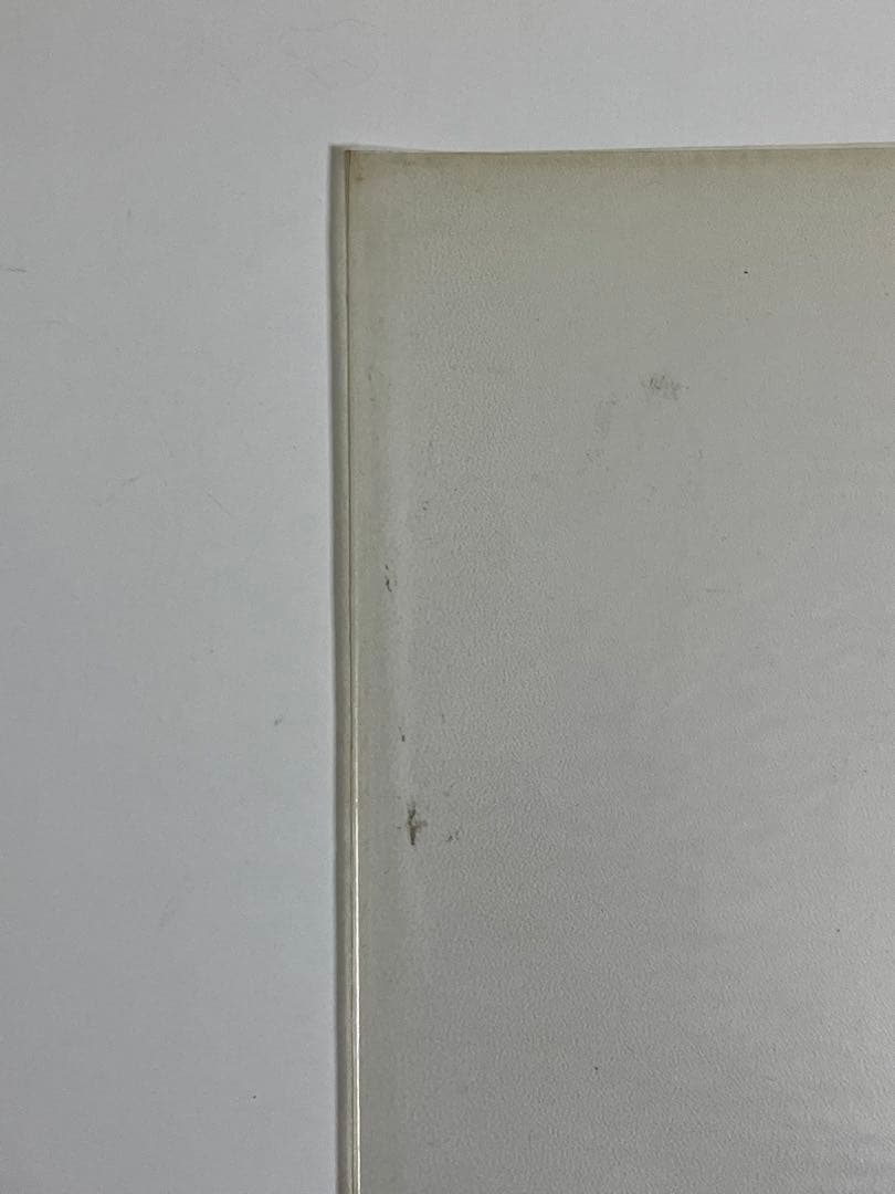 クランベリーズ 限定版 トゥ・ザ・フェイスフル・デパーテッド カラーレコード