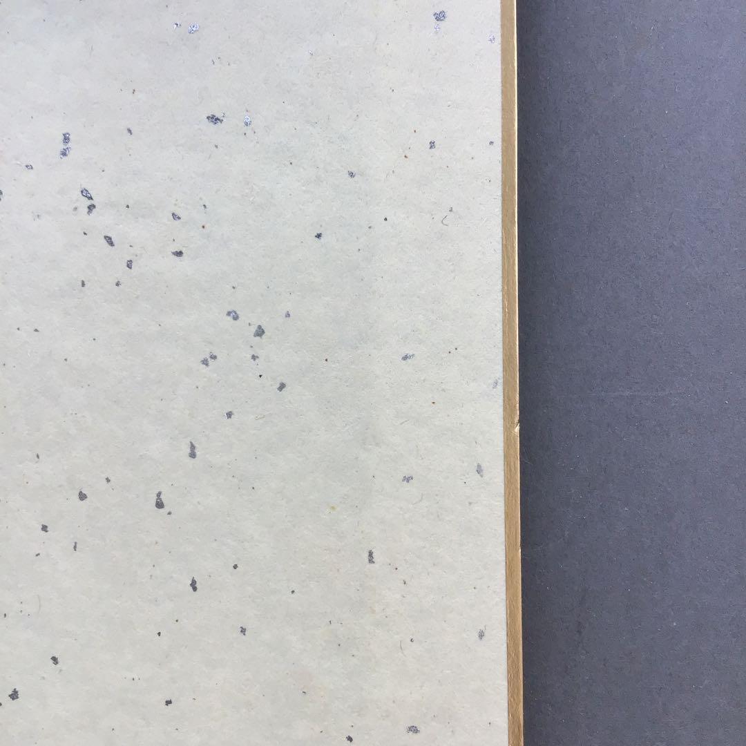 色紙￼摩詞般若波羅蜜多心経写経　水谷健一謹書　佐藤忠正謹製　畳紙S1025SSの