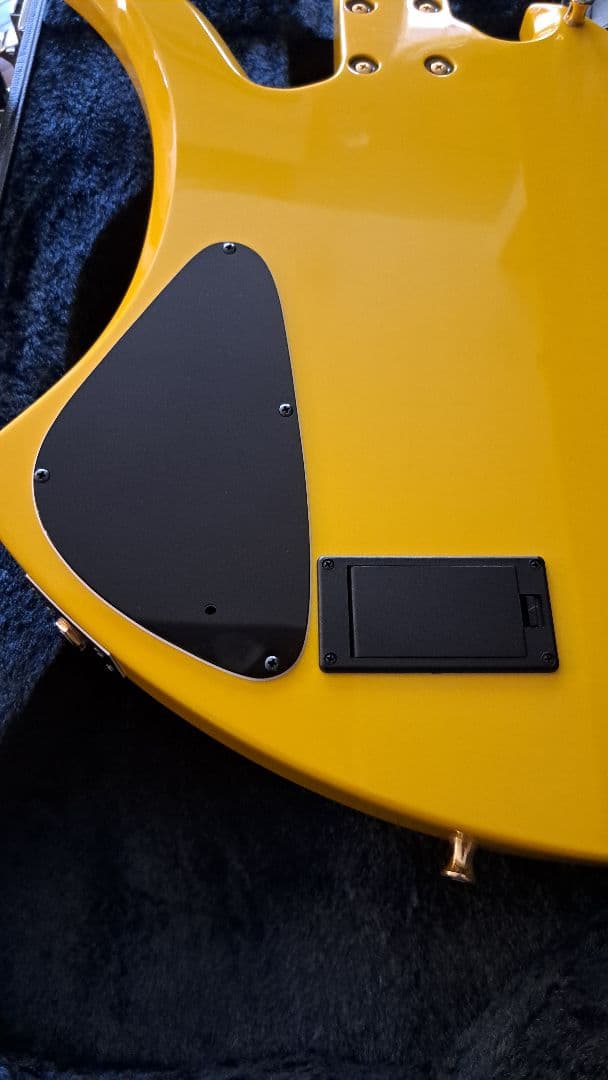 pinkspider　フェルナンデス MG-145S ハードケース