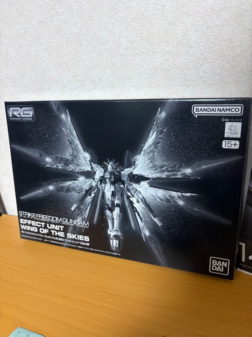 ガンプラhg rg セット ジャンク