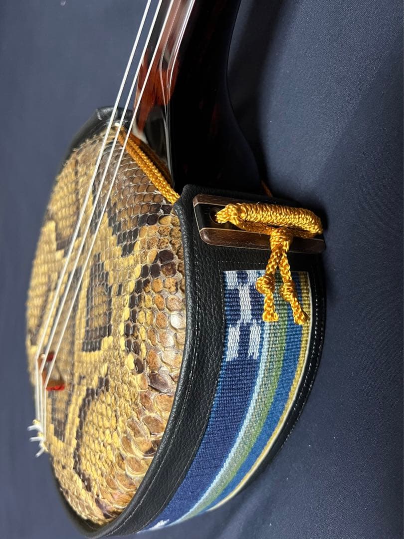 三線 八重山黒木 ウジラミ