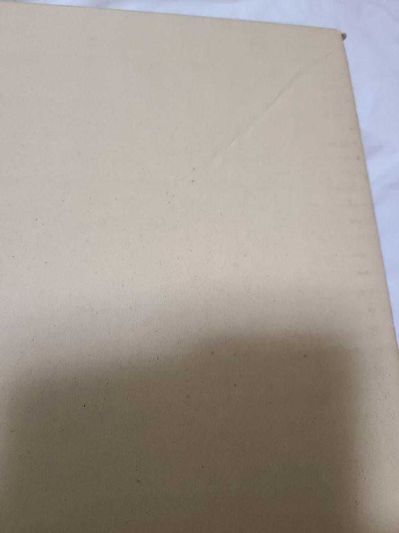 石井一男　女神　母子　F4