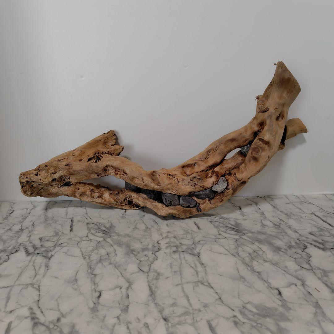 アク抜き済み流木【858】セール