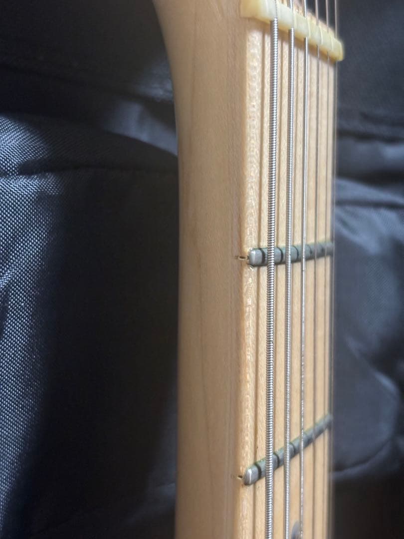 ギター Fujigen EXPERT OS