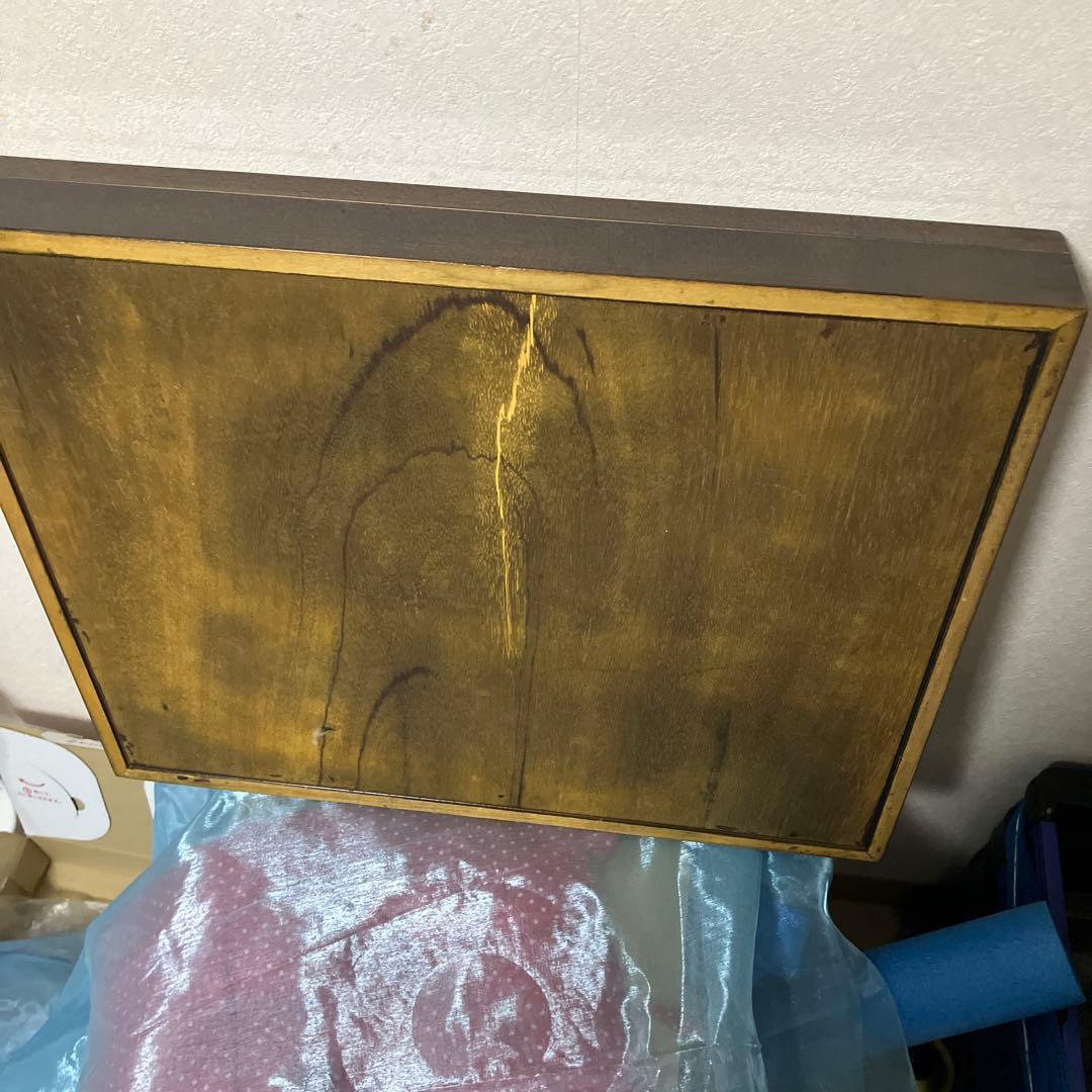 パラワンアカエリトリバネアゲハ♂♀