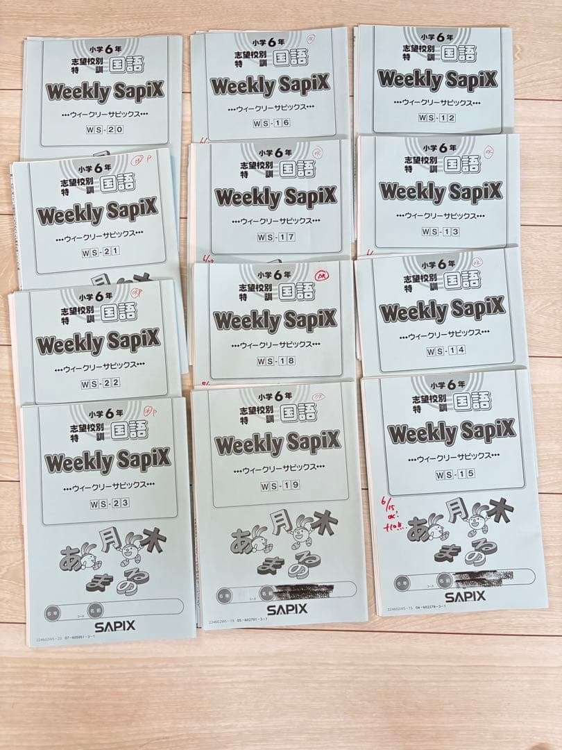 【最新】Sapix 2024年度 6生 国語1年分
