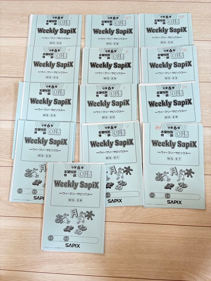 【最新】Sapix 2024年度 6生 国語1年分