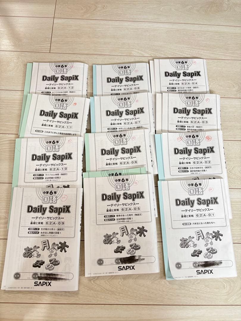 【最新】Sapix 2024年度 6生 国語1年分