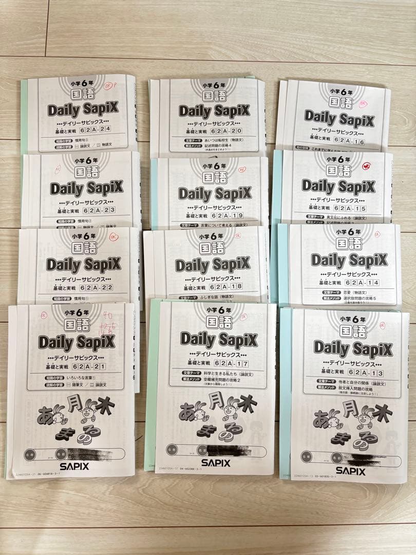 【最新】Sapix 2024年度 6生 国語1年分
