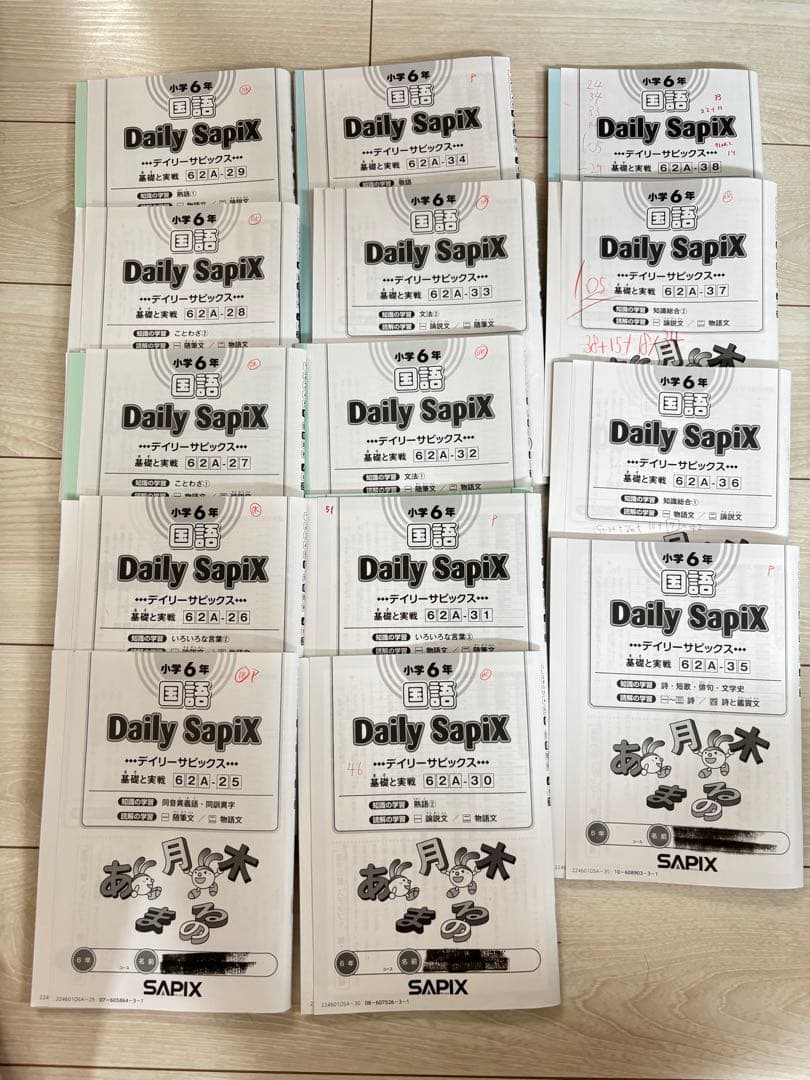 【最新】Sapix 2024年度 6生 国語1年分