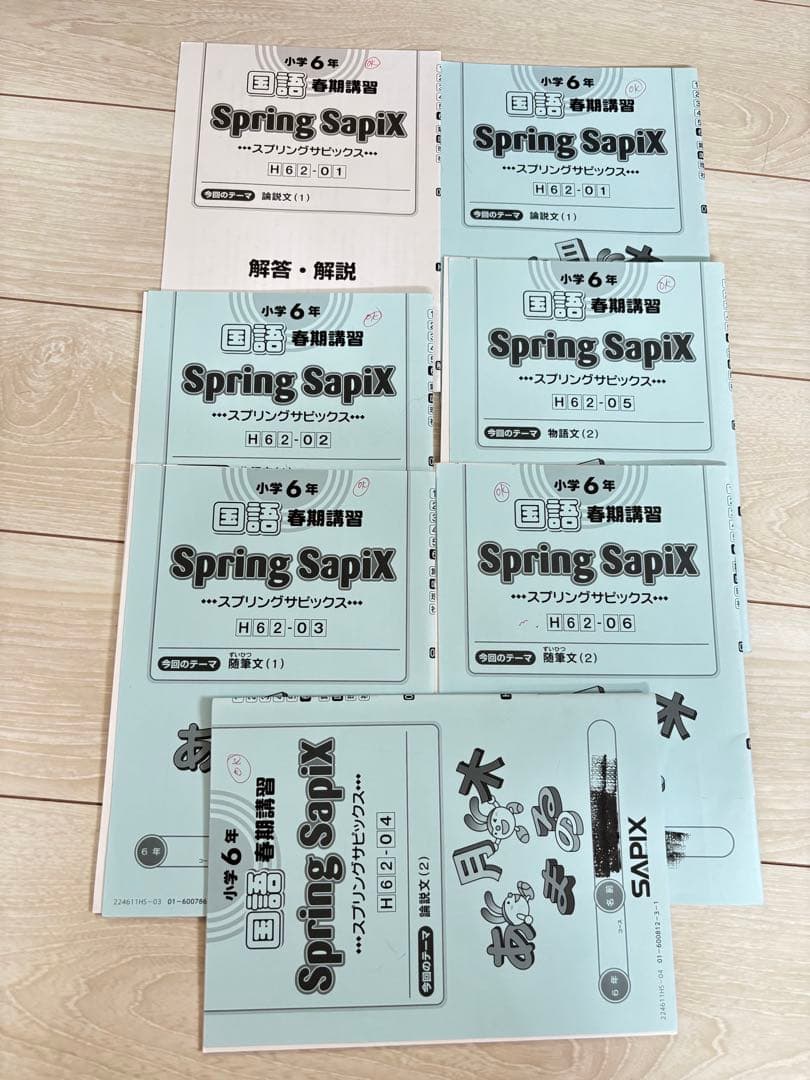【最新】Sapix 2024年度 6生 国語1年分