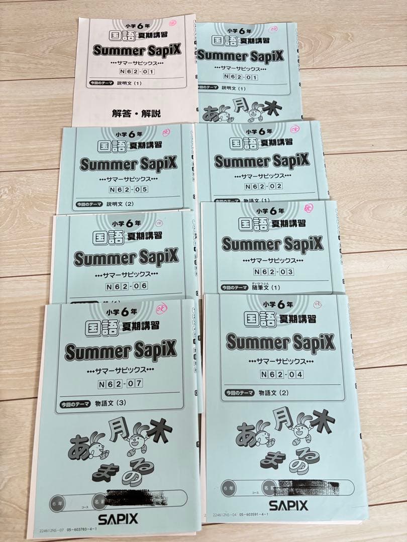 【最新】Sapix 2024年度 6生 国語1年分