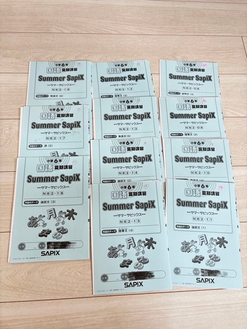 【最新】Sapix 2024年度 6生 国語1年分