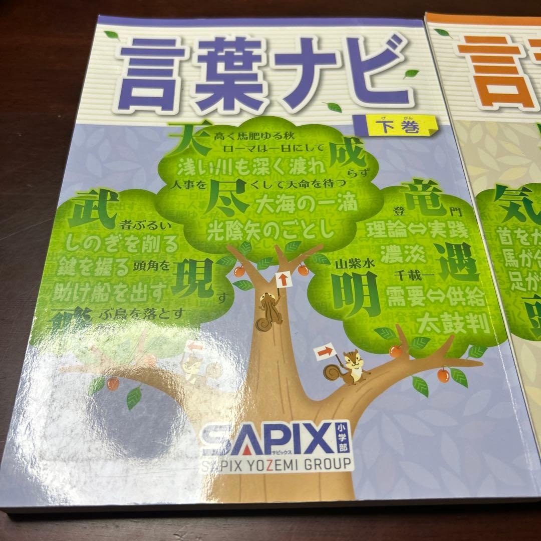22-21や　重要教材　サピックス　SAPIX 言葉ナビ 上巻・下巻セット