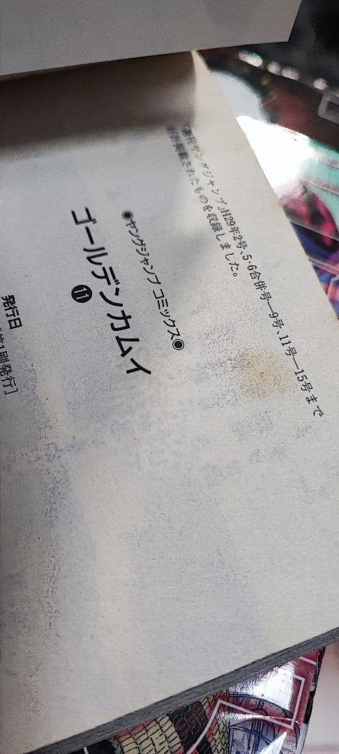 ゴールデンカムイ 31巻 全巻