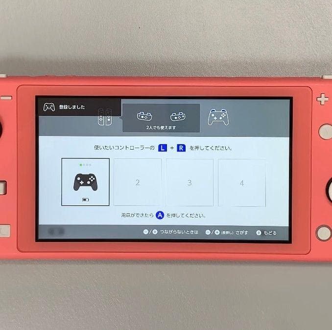 Nintendo Switch Lite 本体 動作品