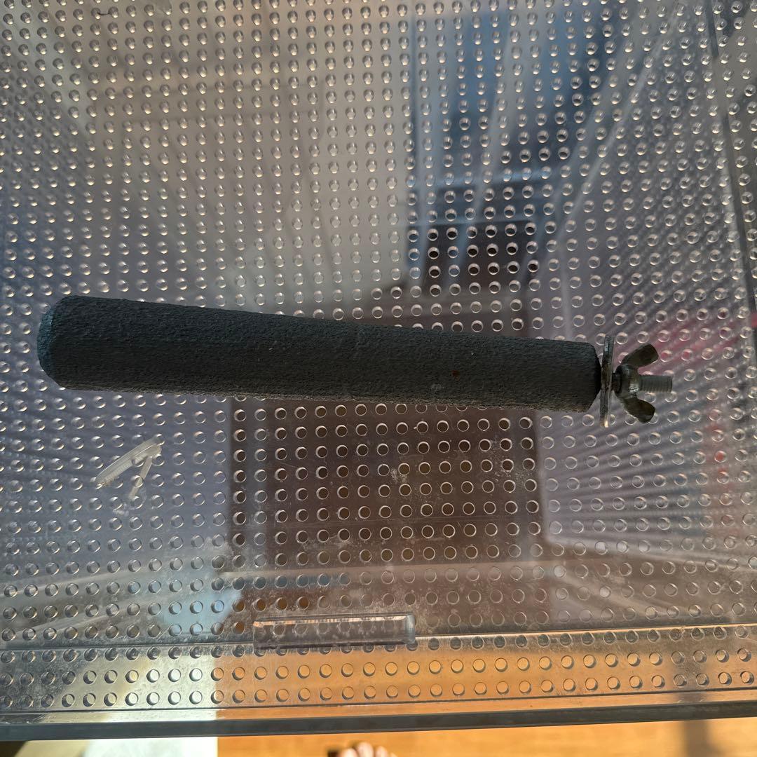 アクリル中型小動物用ケージ フクロモモンガ リス