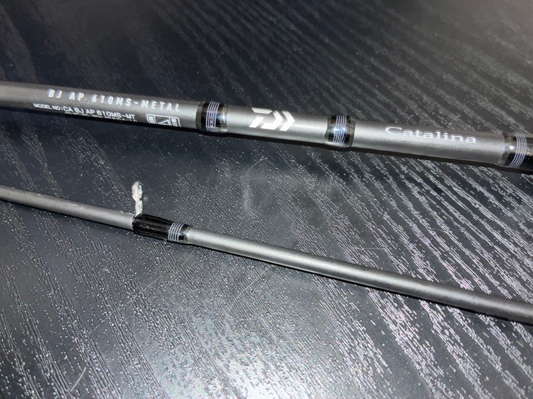 ダイワSLJキャタリナ BJ AP610MS-L