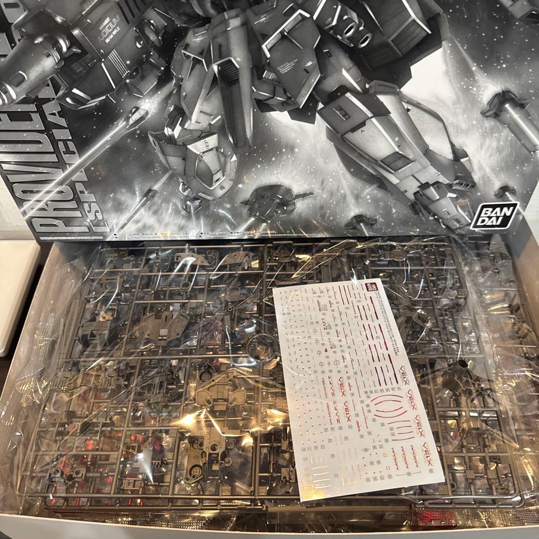 BANDAI プロビデンスガンダム 1/100