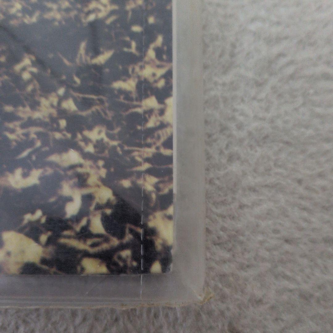 ザ・オールマン・ブラザーズ「BROTHERS AND SISTERS」