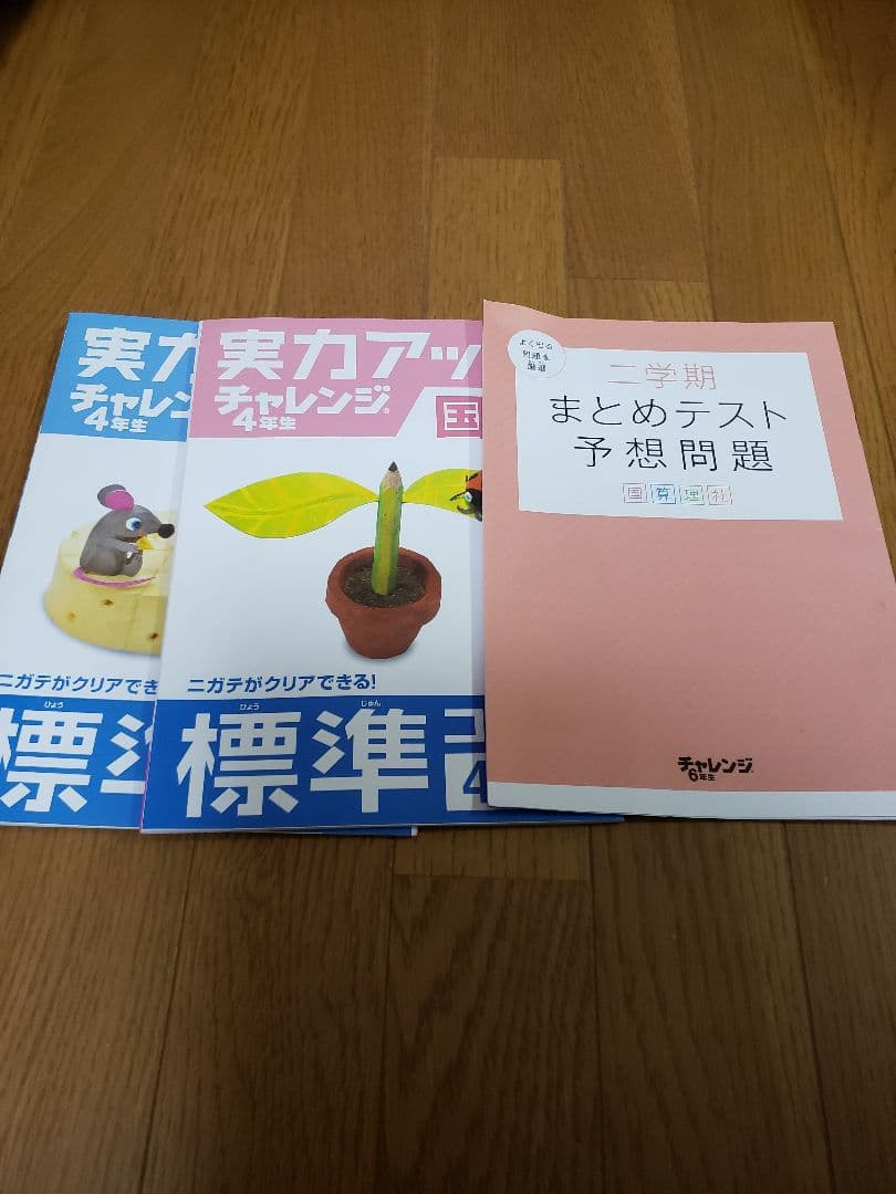 チャレンジテスト