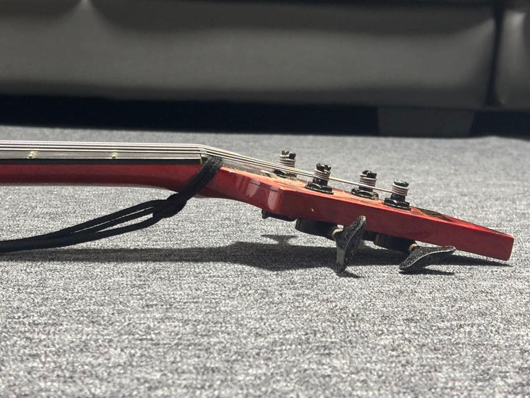 ESP Forest-STD ESP専用ソフトケース付き