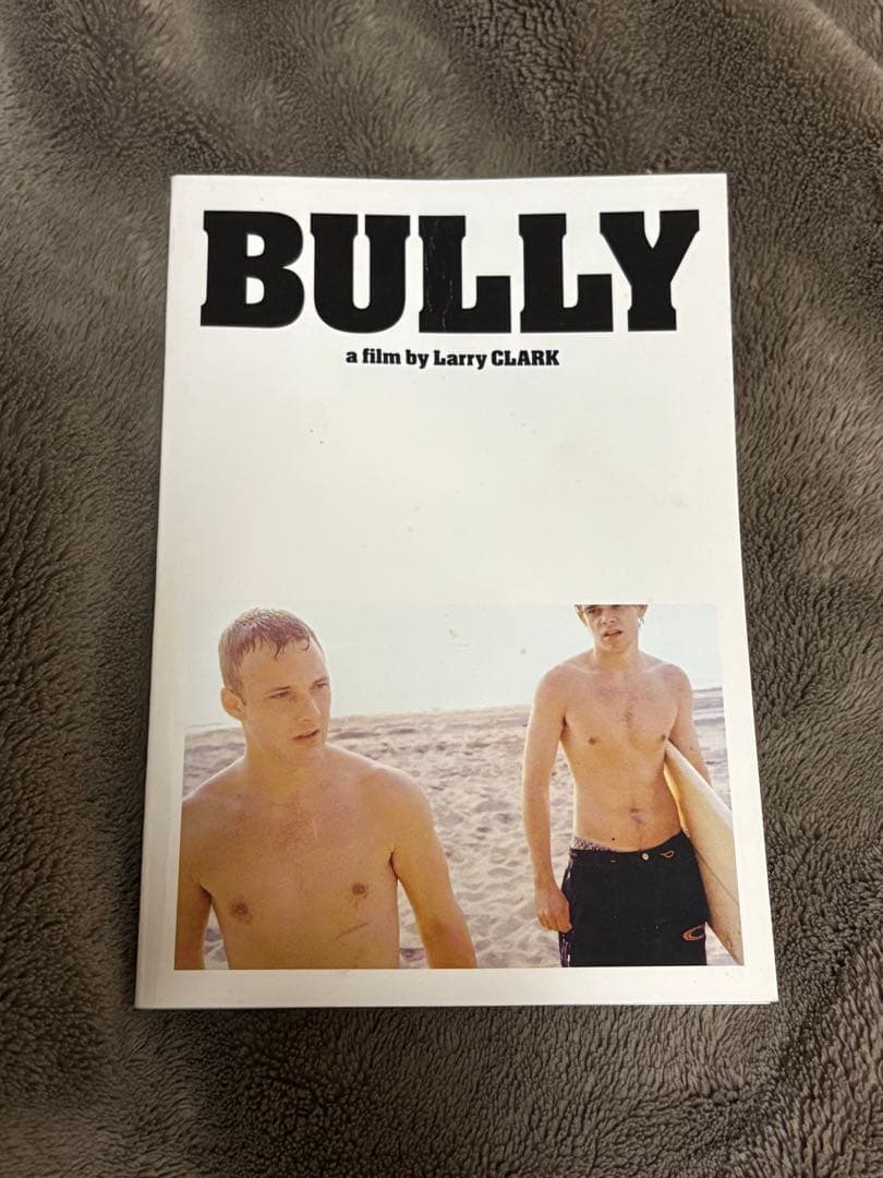 BULLY - Larry Clark ラリークラーク ブリー パンフレット