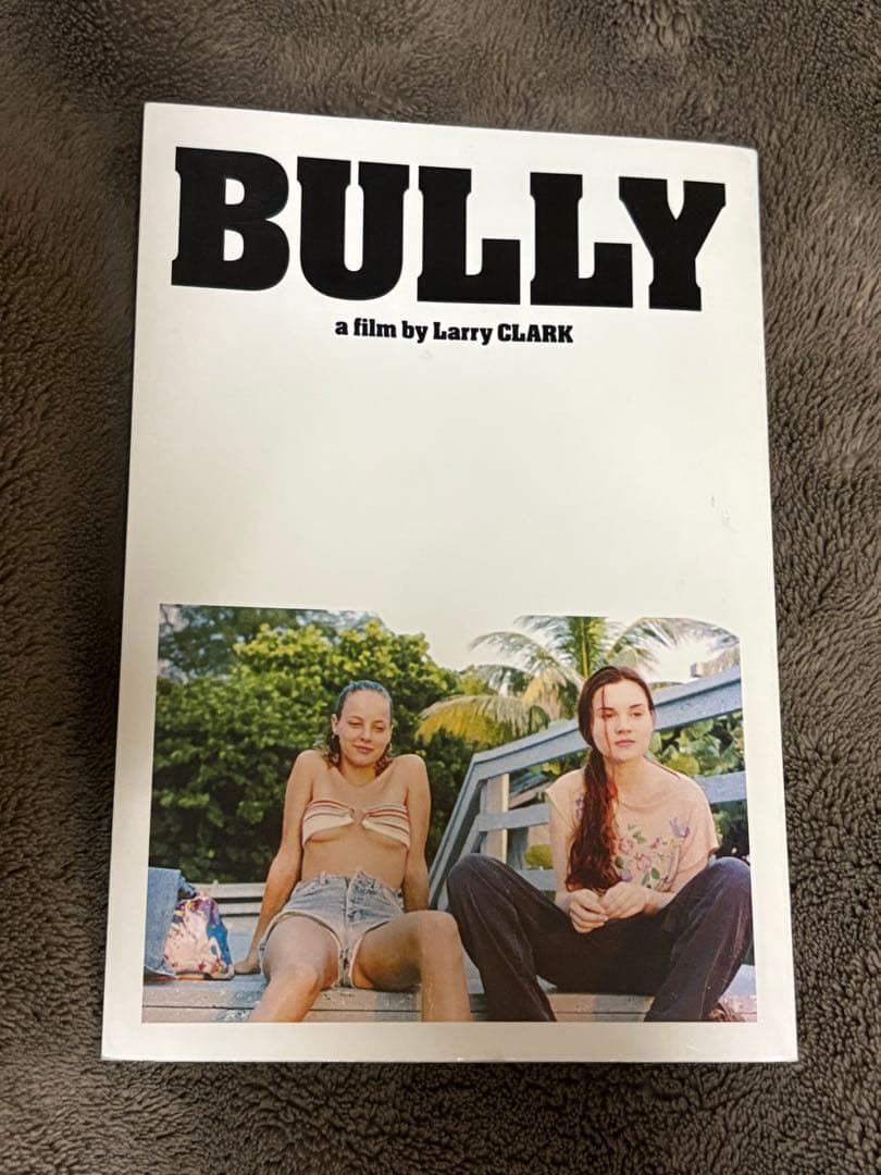 BULLY - Larry Clark ラリークラーク ブリー パンフレット