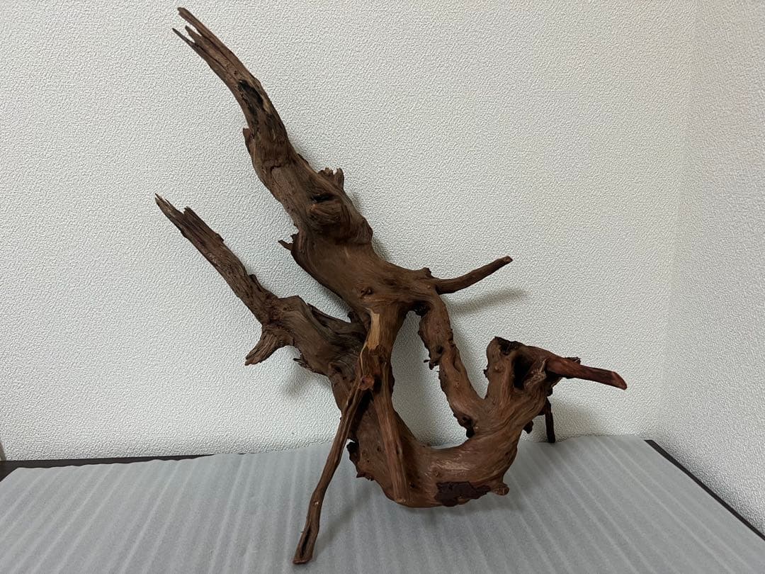 HX-076流木　ホーンウッド　マシンガンウッド　アクアリウム　ブランチウッド