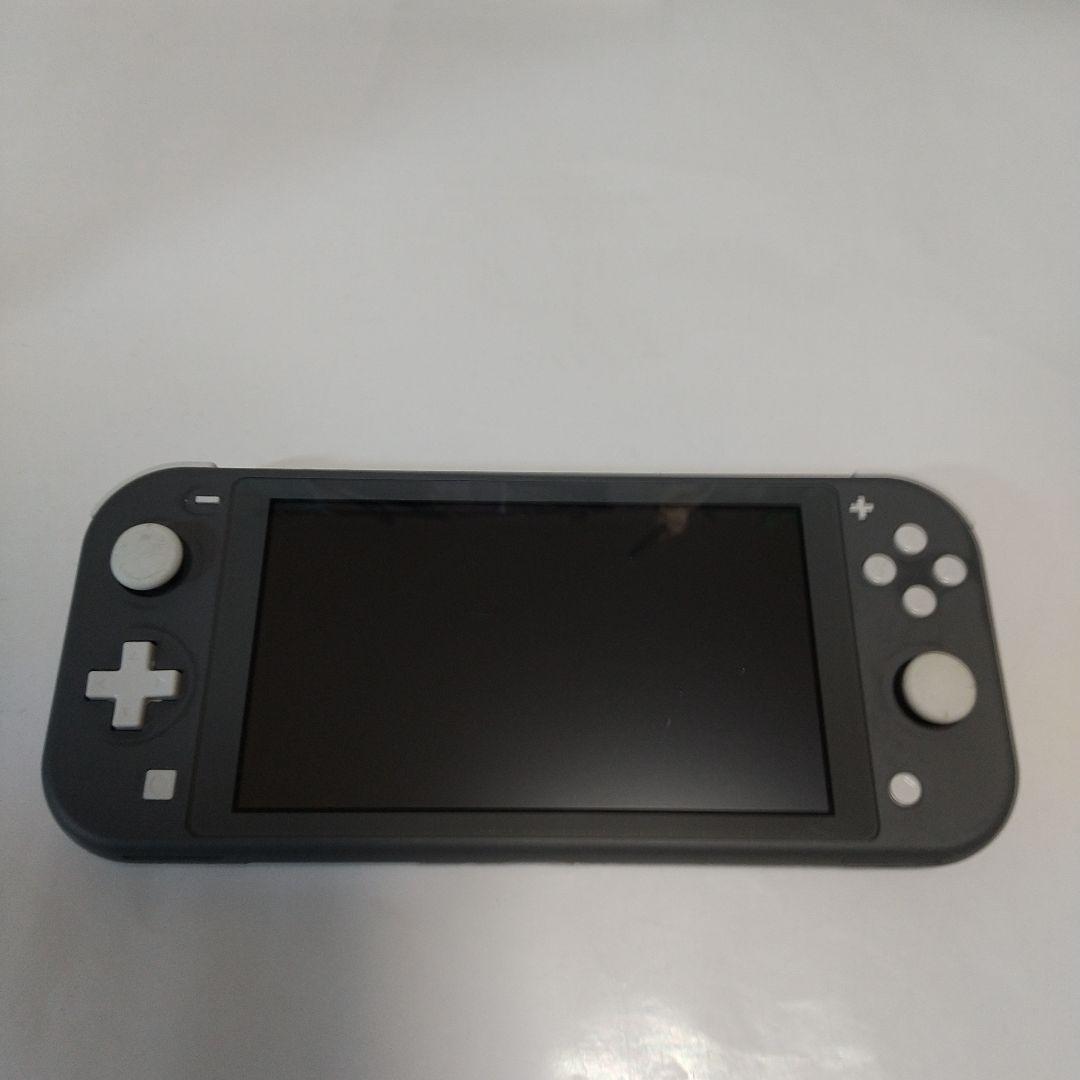 Nintendo Switch Lite グレー 本体＋純正充電器＋保護＋収納
