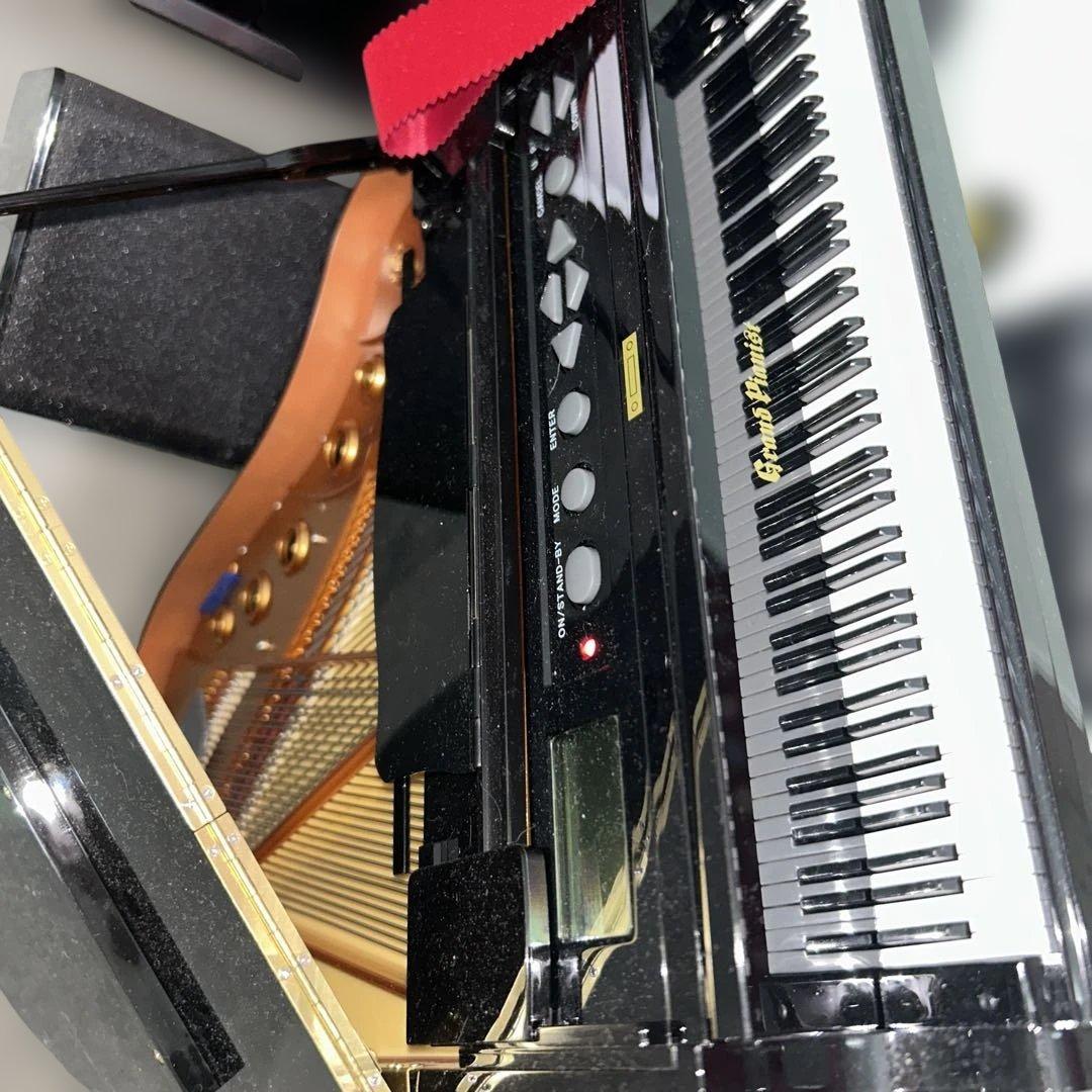 l*o様 新品同様★極美品★クリスマスSDカード付き★グランドピアニスト★セガ★