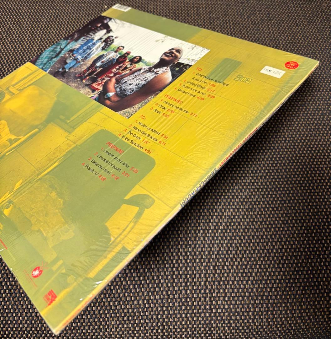 ARRESTED DEVELOPMENT ZINGALAMADUNI 2LP美品