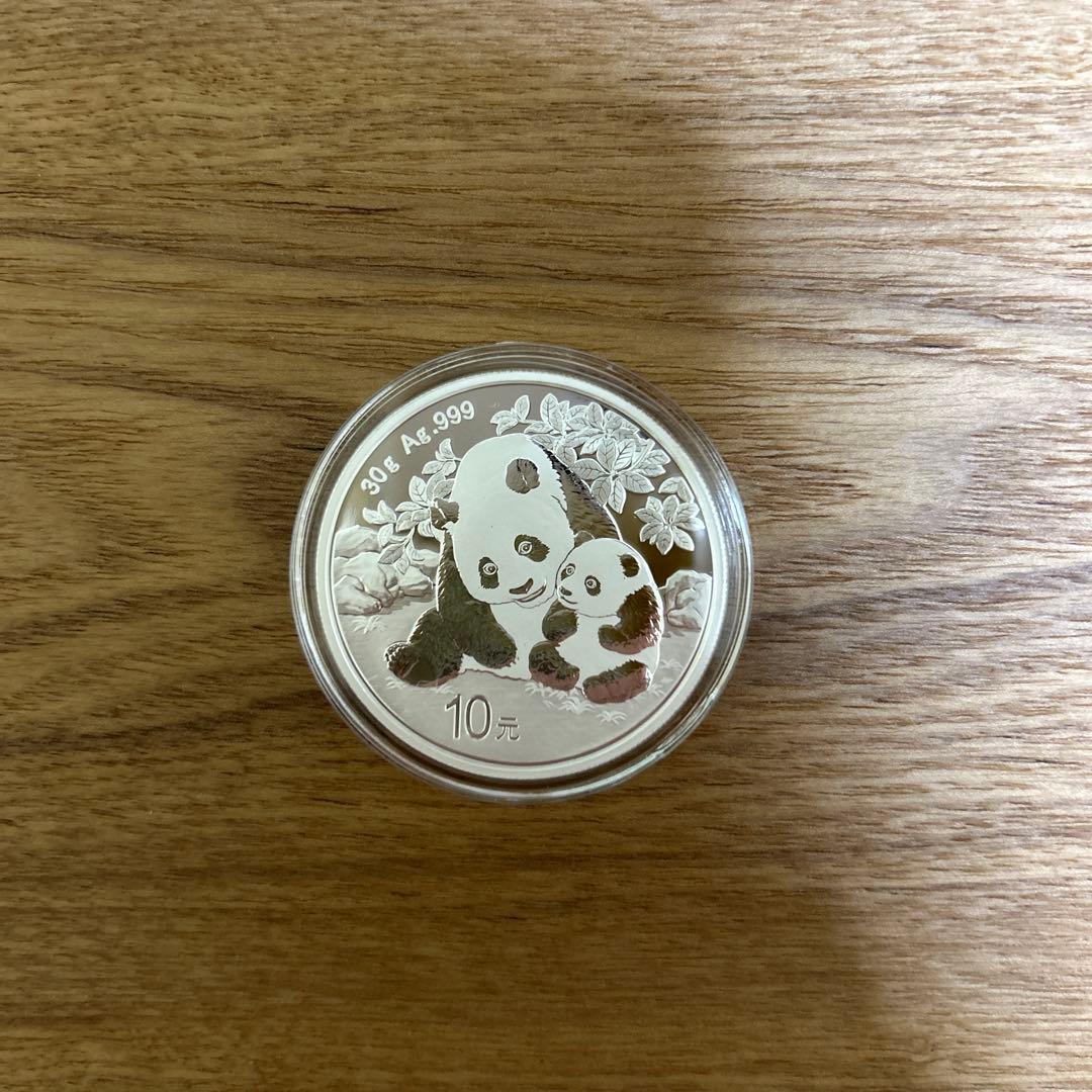 銀　2024 パンダ