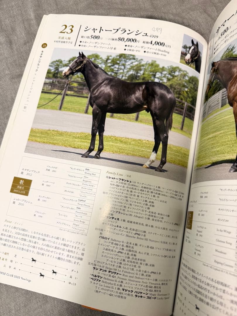 競馬非売品　2020年イクイノックス募集時　カタログ募集時馬体重メモ記載