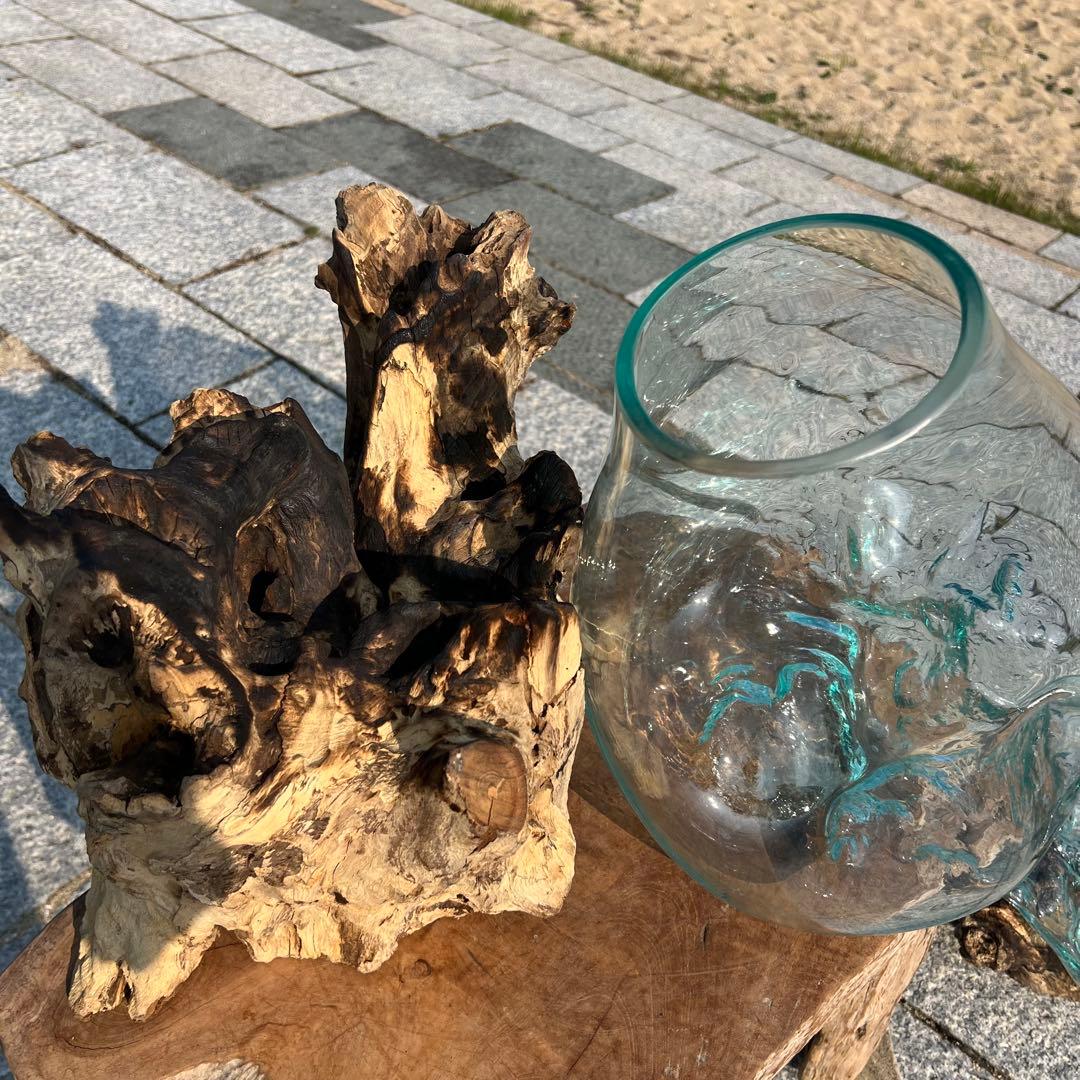 デッカい流木ガラスオブジェWC 花瓶 金魚鉢 水槽 苔リウム メダカ容器 超大型