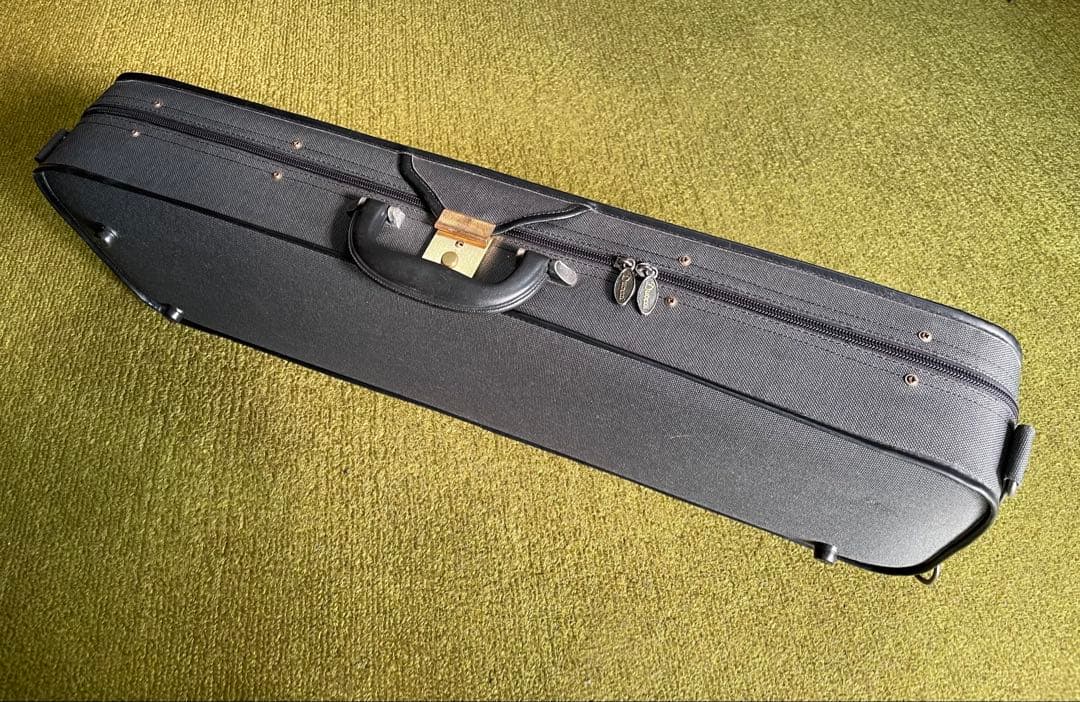 Allan drexcdll / アランドレクセル⭐️バイオリン 1/2