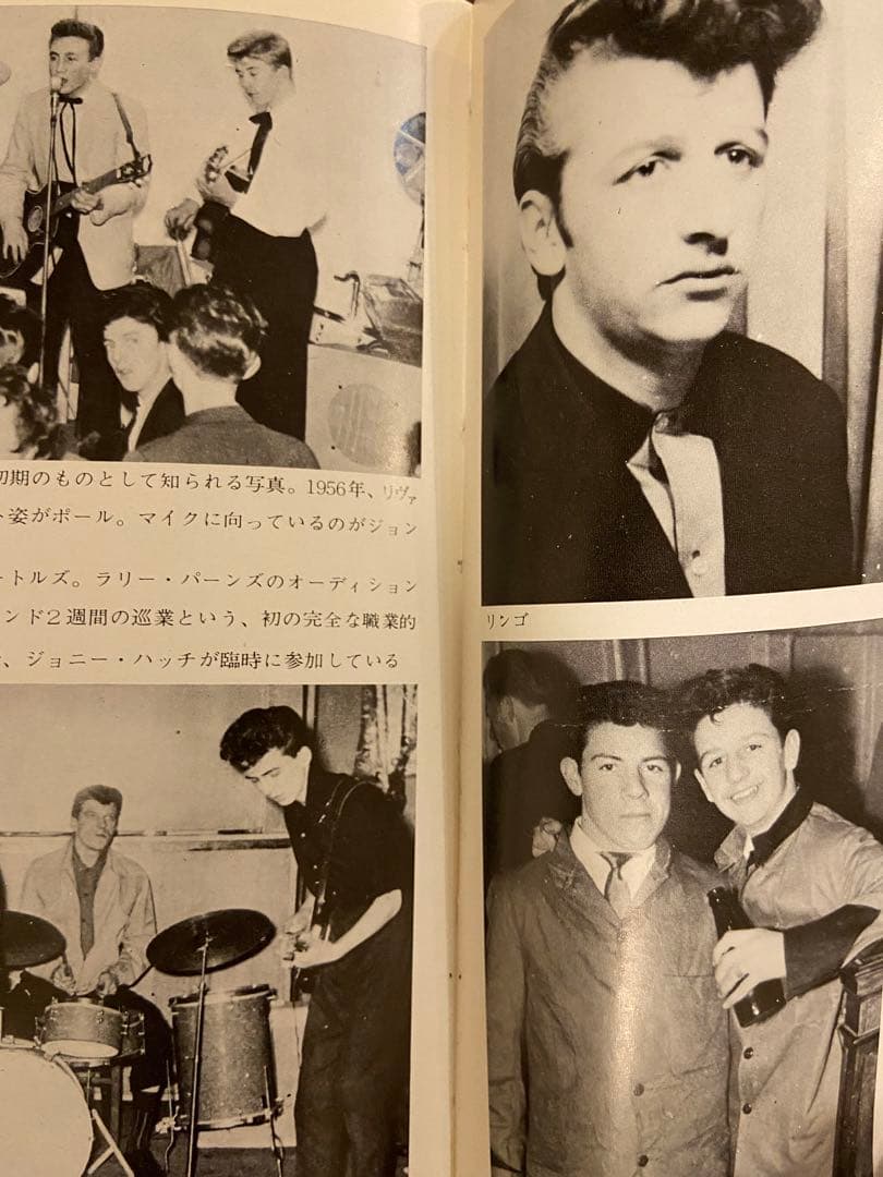 The Beatles ザ・ビートルズ　ハンターデイビス著