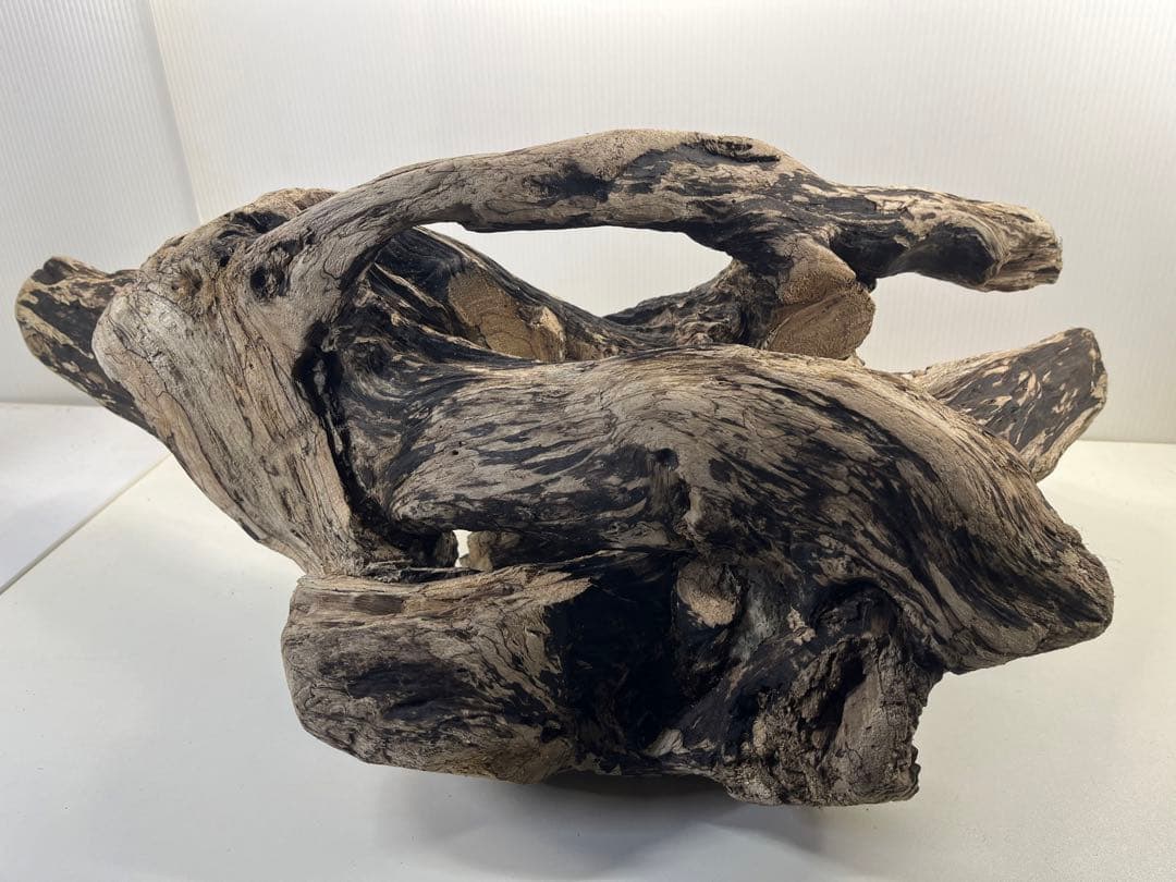 m46特大流木 大型流木 アク抜き済み 爬虫類シェルター レイアウト用 隠れ家