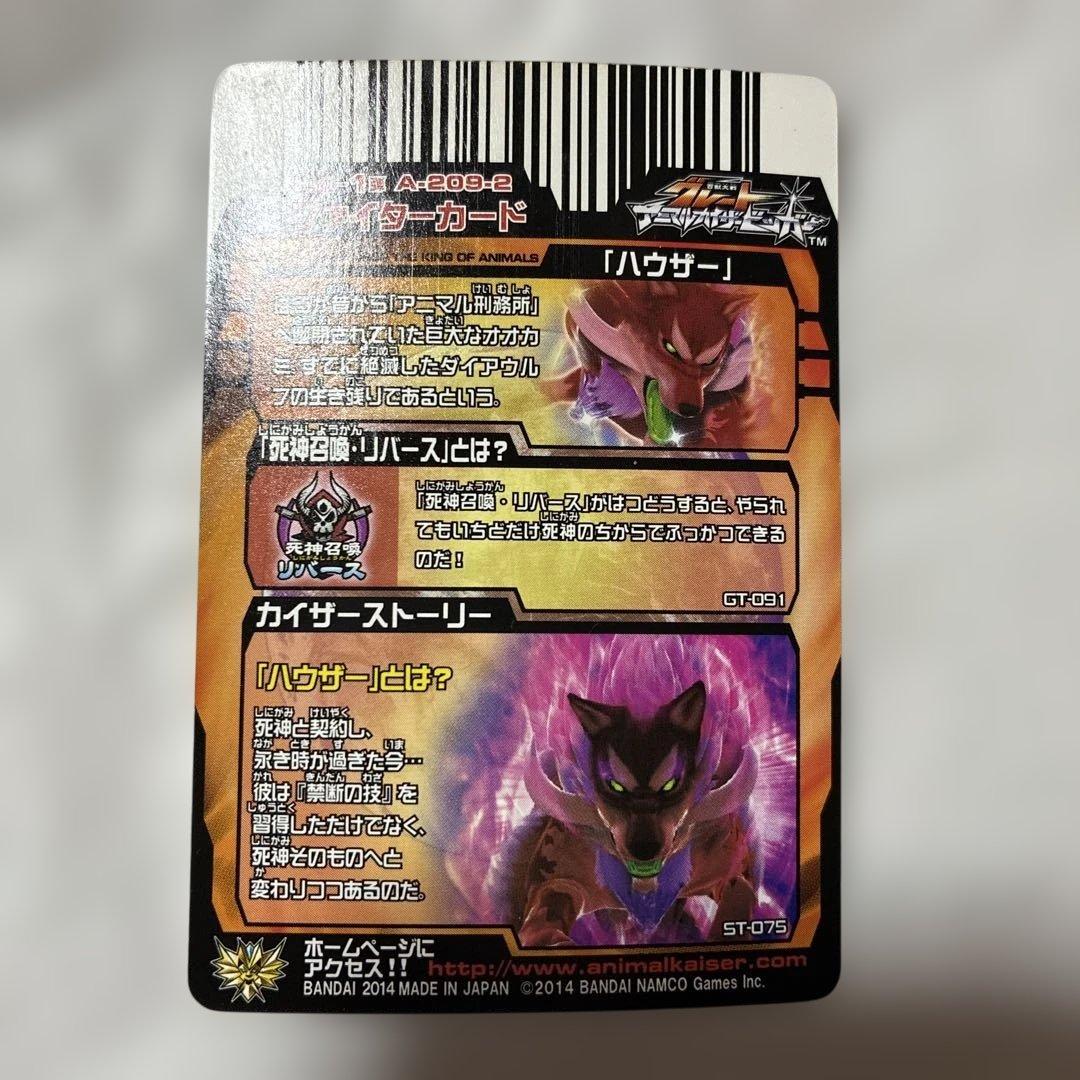 唐揚げ　トンカツ様