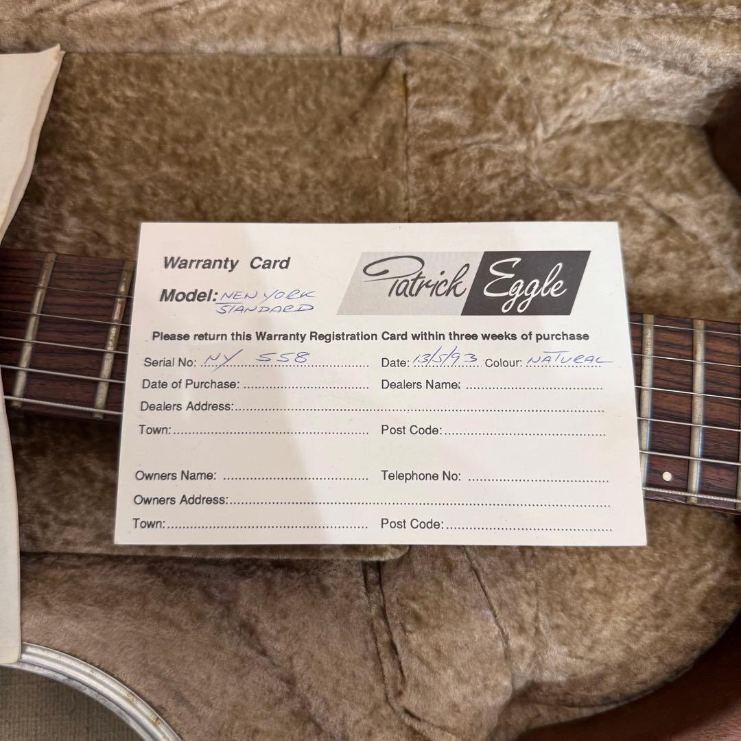 Patrick eggle new york standardハードケース付き
