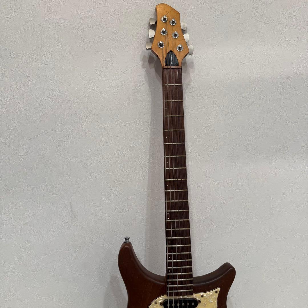 Patrick eggle new york standardハードケース付き