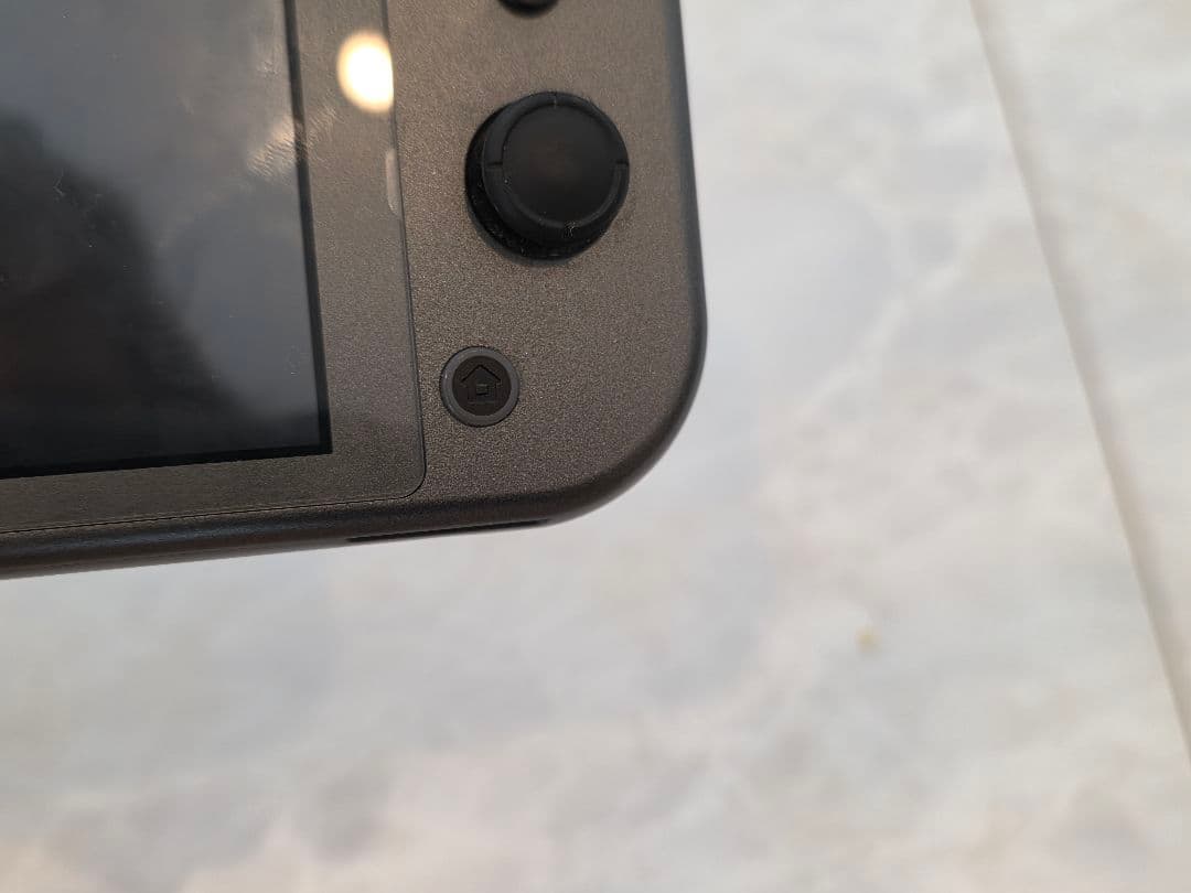 Switch Lite ディアルガ・パルキア