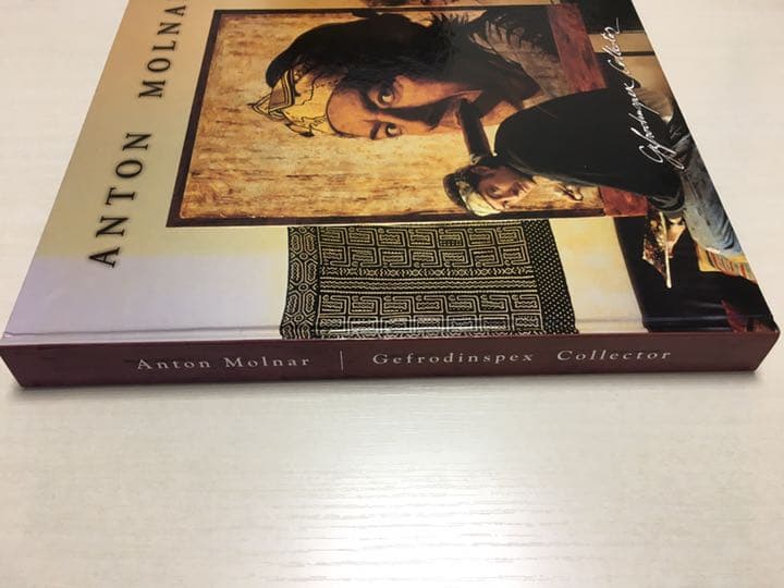 洋書　アントン・モルナー　画集　Gefrodinspex Collector