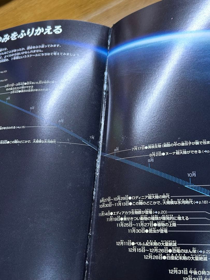 小学館の図鑑　NEO POCKET 全25冊セット