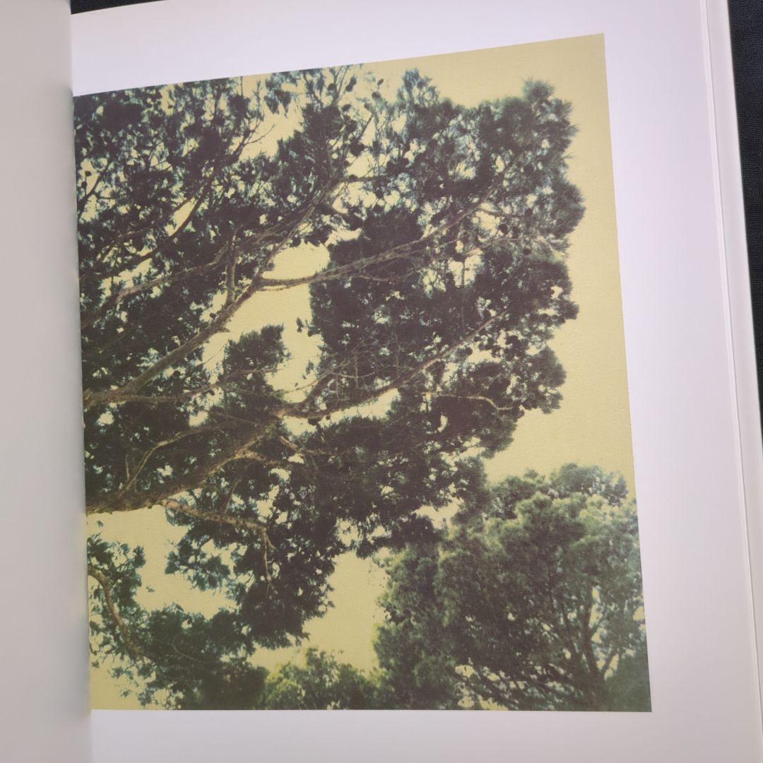 Cy Twombly サイ・トゥオンブリー Photographs 洋書 写真集