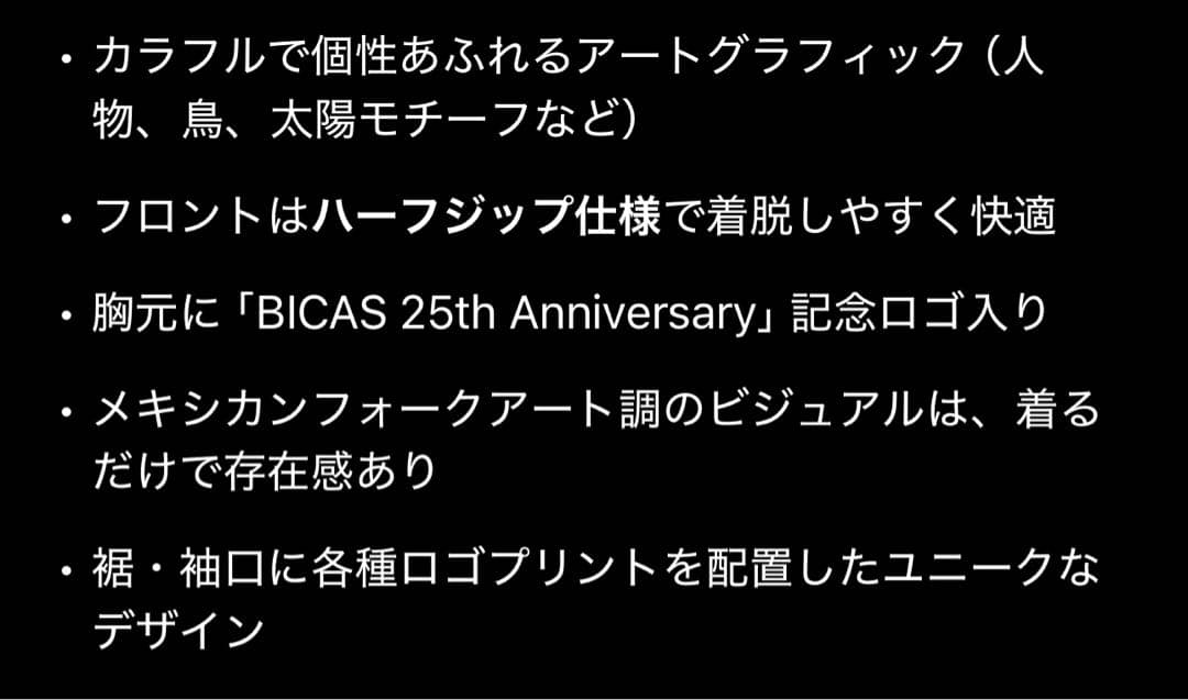 非売品 BICAS／GOLOCO別注 25周年 アートサイクルジャージ