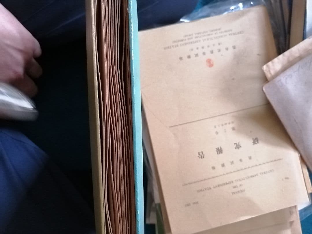 W 金閣寺の写真アルバム　昭和レトロ写真　モノクロ　京都　奈良　風景　寺院